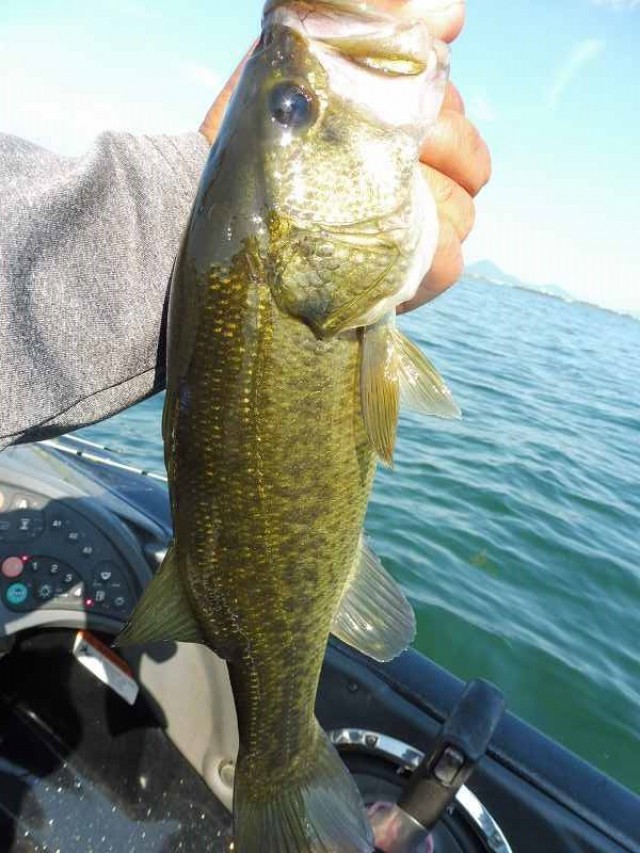 truth okuma ブログ写真 2016/08/07