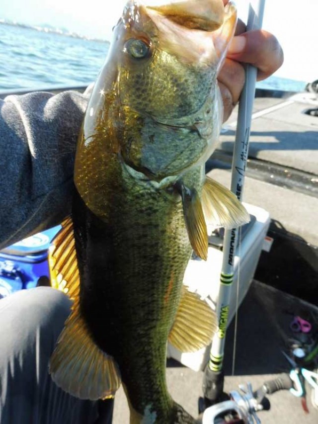 truth okuma ブログ写真 2016/08/07