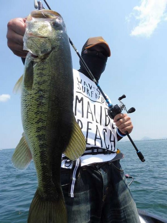 truth okuma ブログ写真 2016/08/08