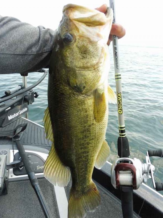 truth okuma ブログ写真 2016/08/08