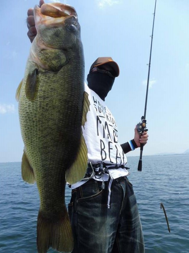 truth okuma ブログ写真 2016/08/08