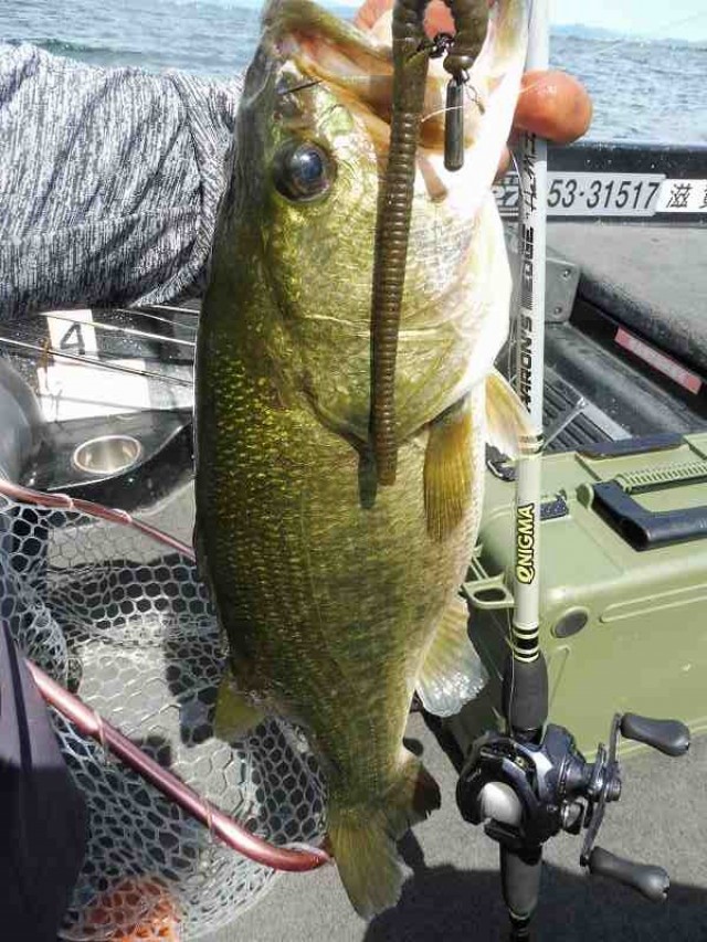 truth okuma ブログ写真 2016/08/10