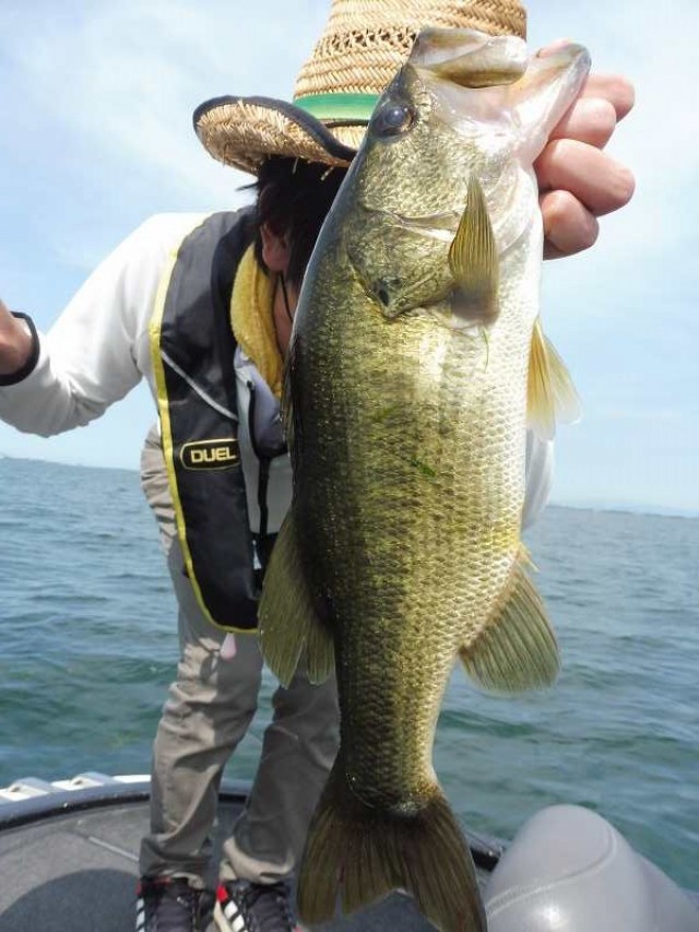 truth okuma ブログ写真 2016/08/11