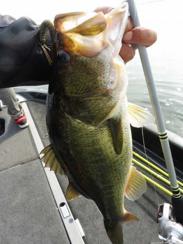 truth okuma ブログ写真 2016/08/11