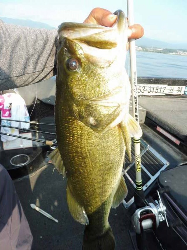 truth okuma ブログ写真 2016/08/12