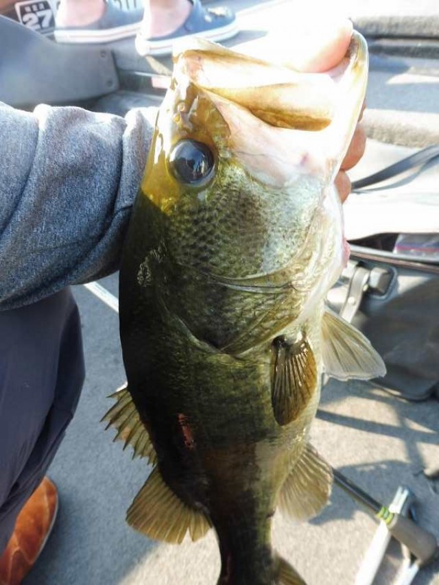 truth okuma ブログ写真 2016/08/12