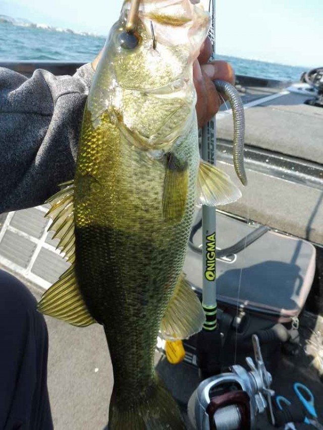 truth okuma ブログ写真 2016/08/12