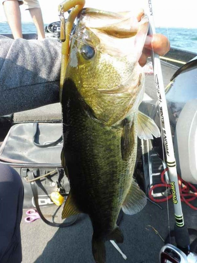 truth okuma ブログ写真 2016/08/12