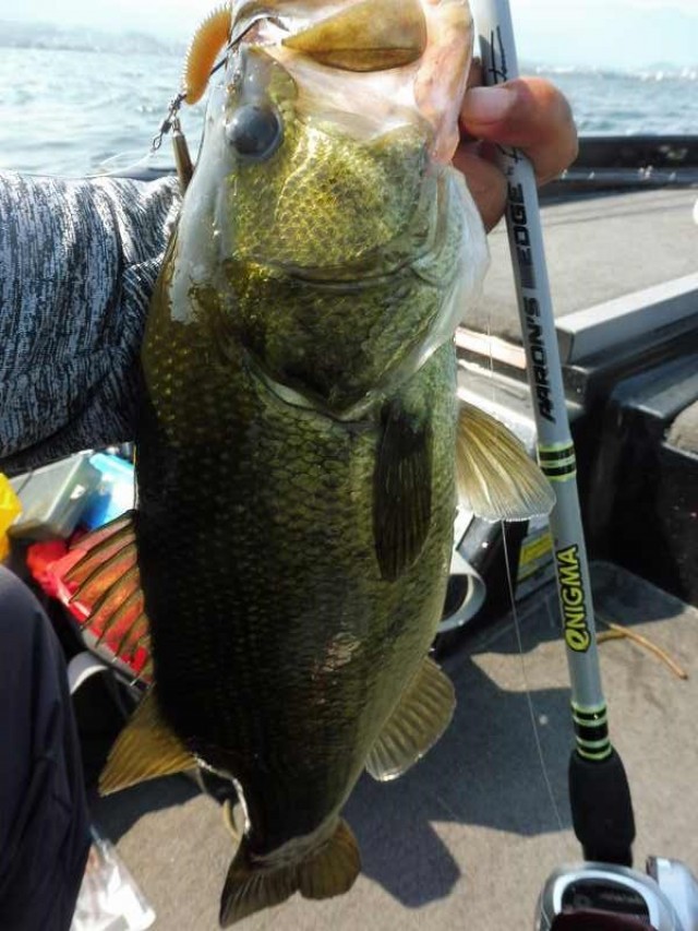 truth okuma ブログ写真 2016/08/13