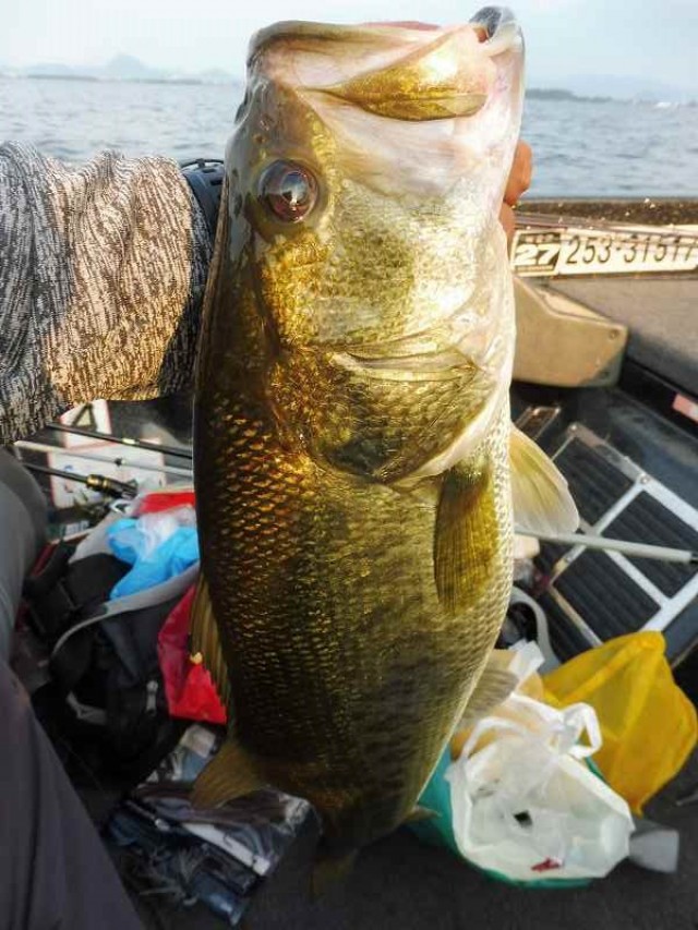 truth okuma ブログ写真 2016/08/13