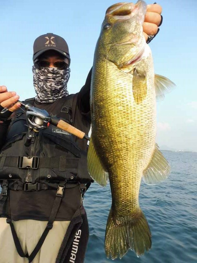 truth okuma ブログ写真 2016/08/14