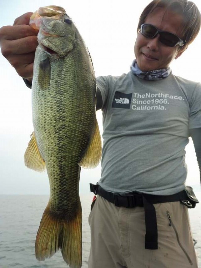 truth okuma ブログ写真 2016/08/14