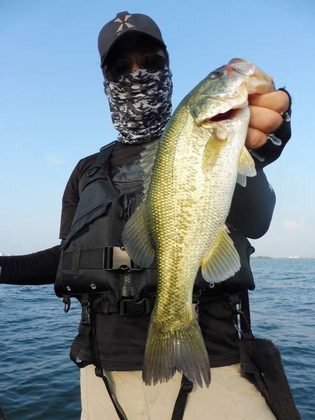 truth okuma ブログ写真 2016/08/14