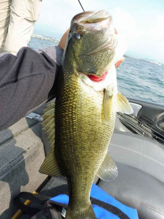 truth okuma ブログ写真 2016/08/14