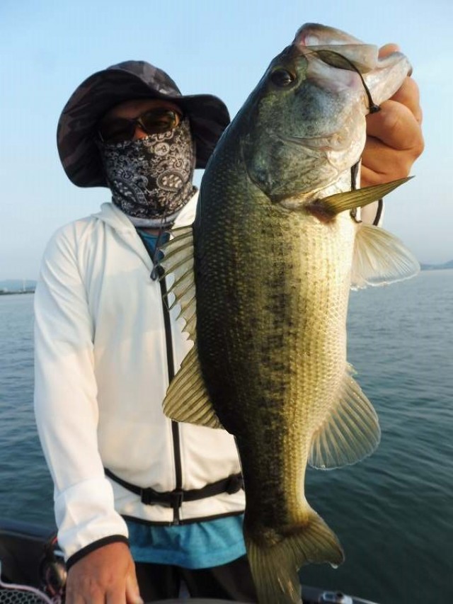 truth okuma ブログ写真 2016/08/15