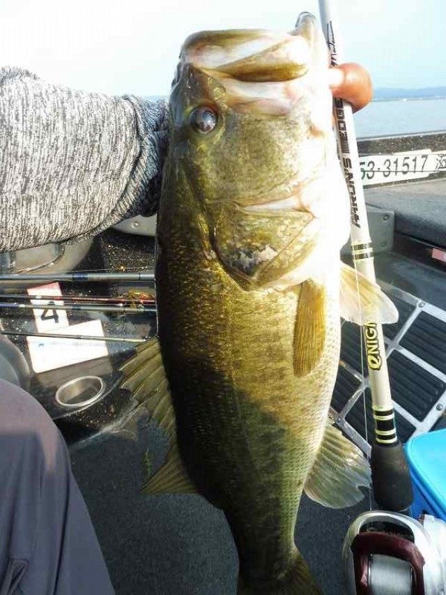 truth okuma ブログ写真 2016/08/15