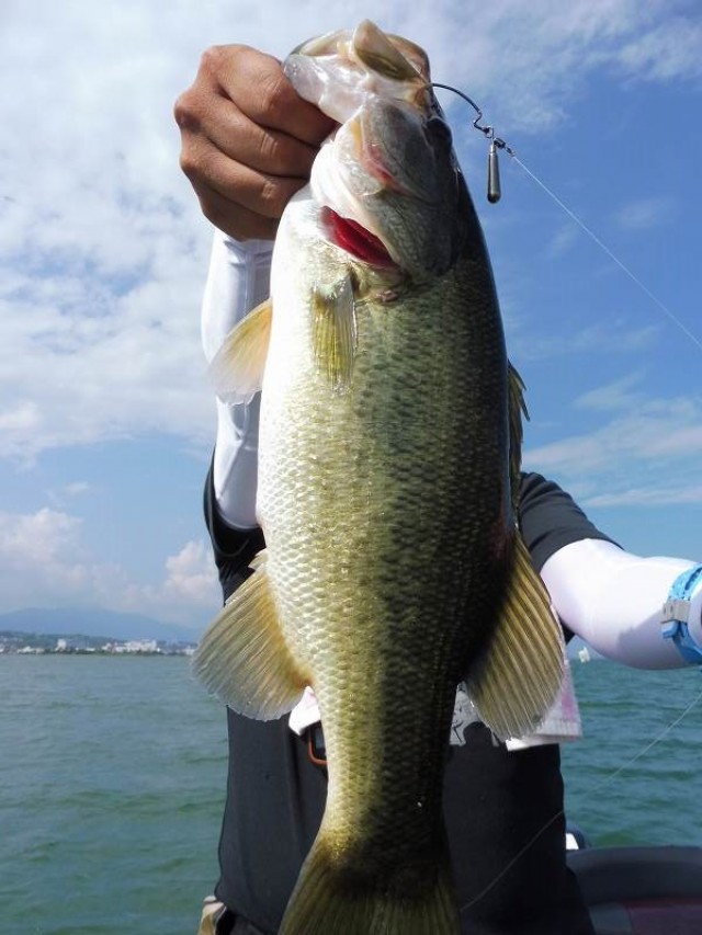 truth okuma ブログ写真 2016/08/19