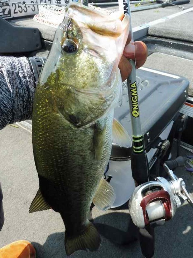 truth okuma ブログ写真 2016/08/19