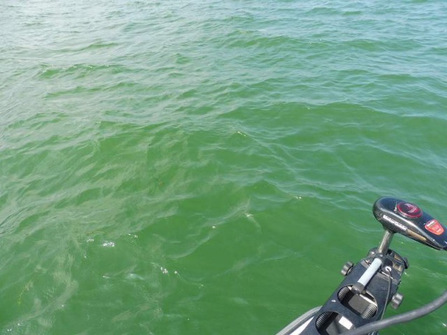 truth okuma ブログ写真 2016/08/19