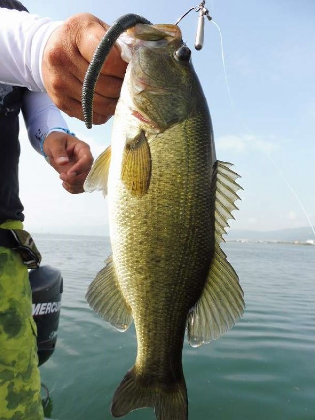 truth okuma ブログ写真 2016/08/19