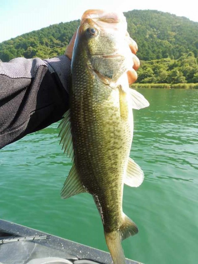 truth okuma ブログ写真 2016/08/20