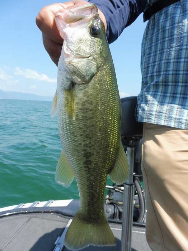 truth okuma ブログ写真 2016/08/20