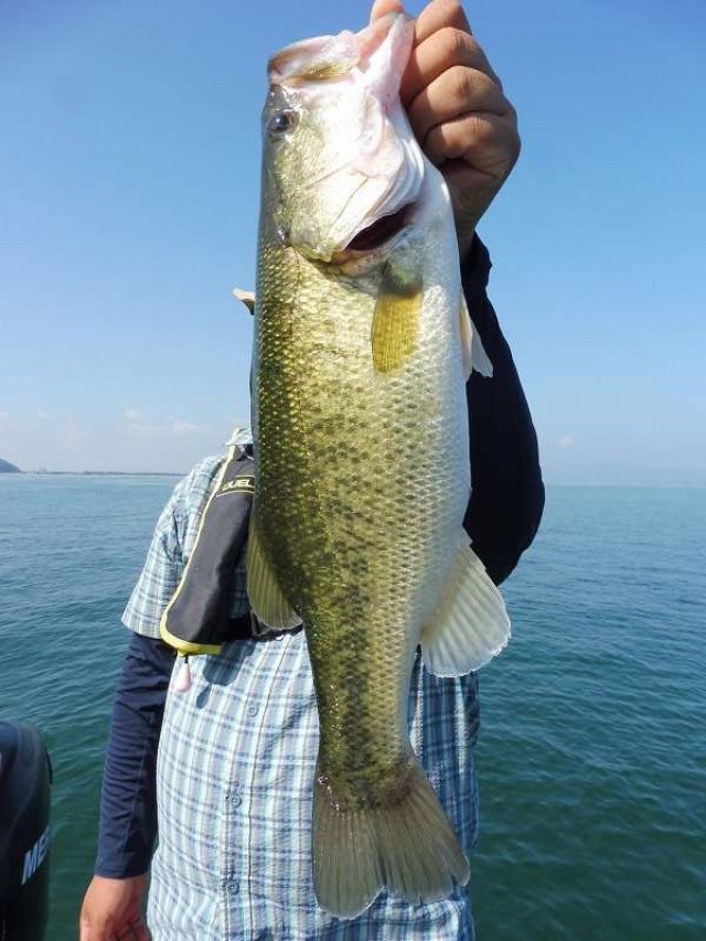 truth okuma ブログ写真 2016/08/20