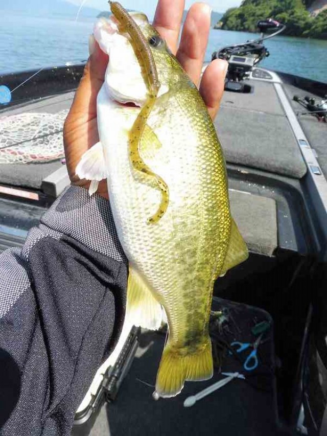 truth okuma ブログ写真 2016/08/20