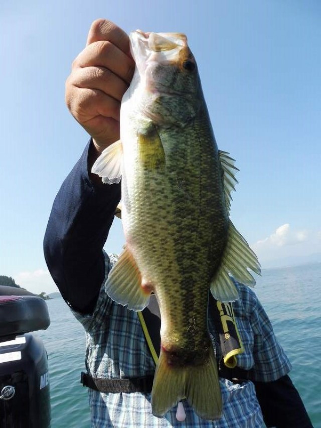 truth okuma ブログ写真 2016/08/20