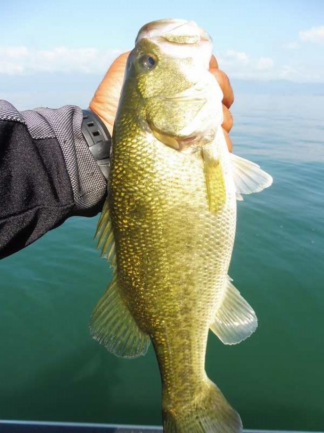 truth okuma ブログ写真 2016/08/20