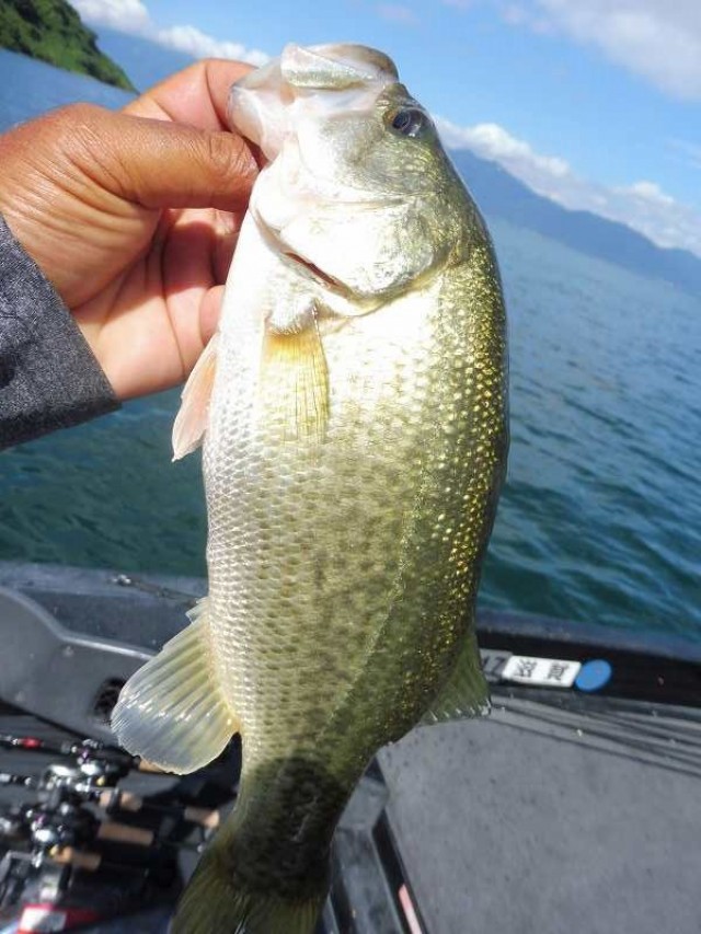 truth okuma ブログ写真 2016/08/21