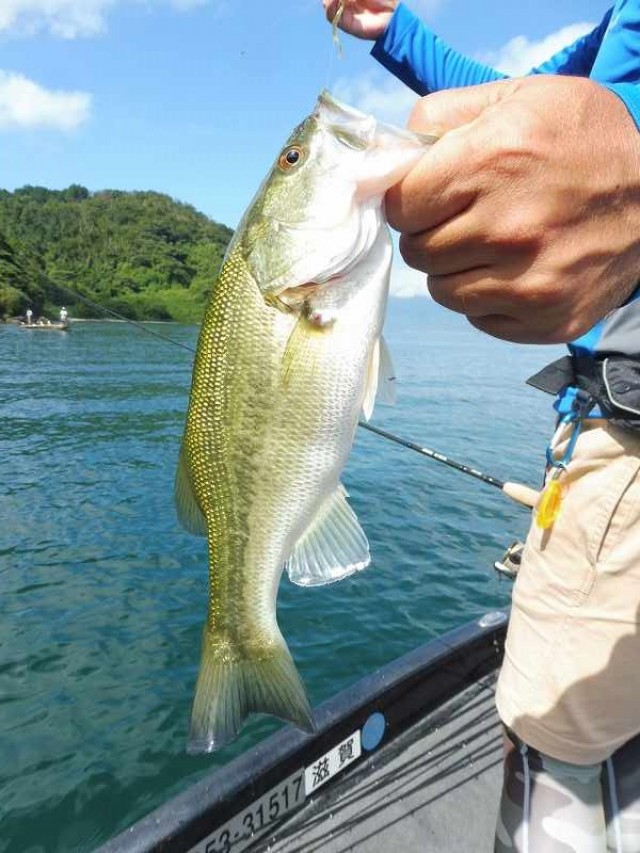 truth okuma ブログ写真 2016/08/21