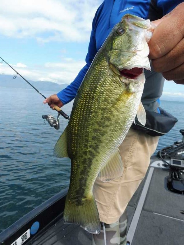 truth okuma ブログ写真 2016/08/21