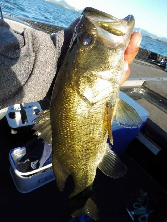 truth okuma ブログ写真 2016/08/21