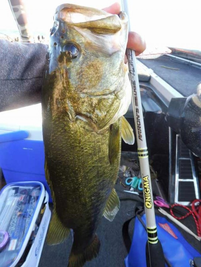 truth okuma ブログ写真 2016/08/21