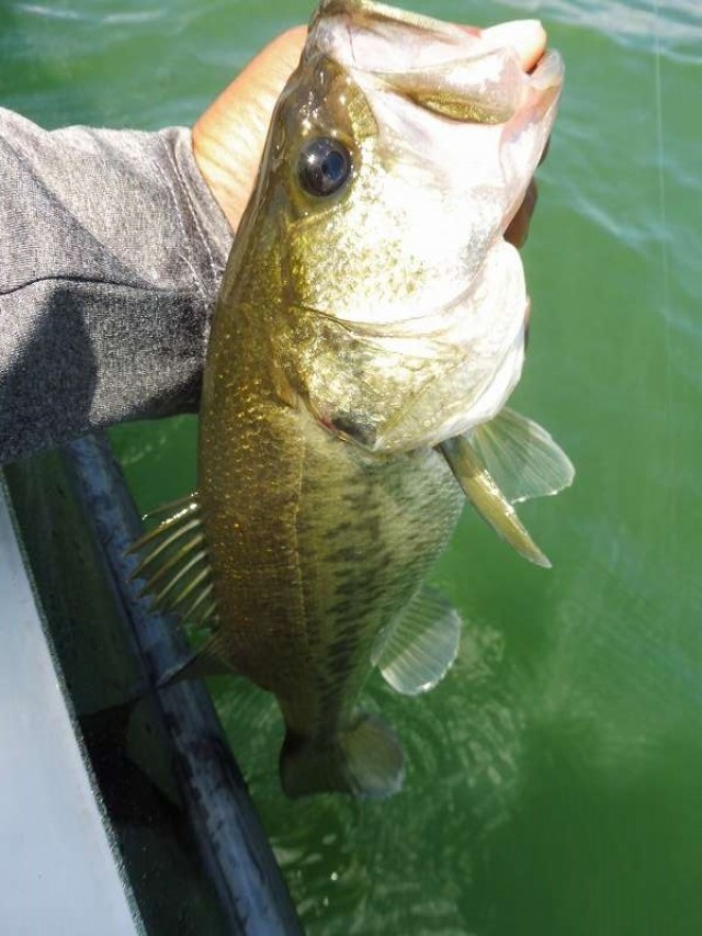 truth okuma ブログ写真 2016/08/21