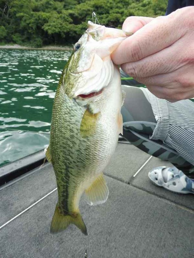 truth okuma ブログ写真 2016/08/21