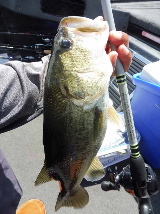 truth okuma ブログ写真 2016/08/21