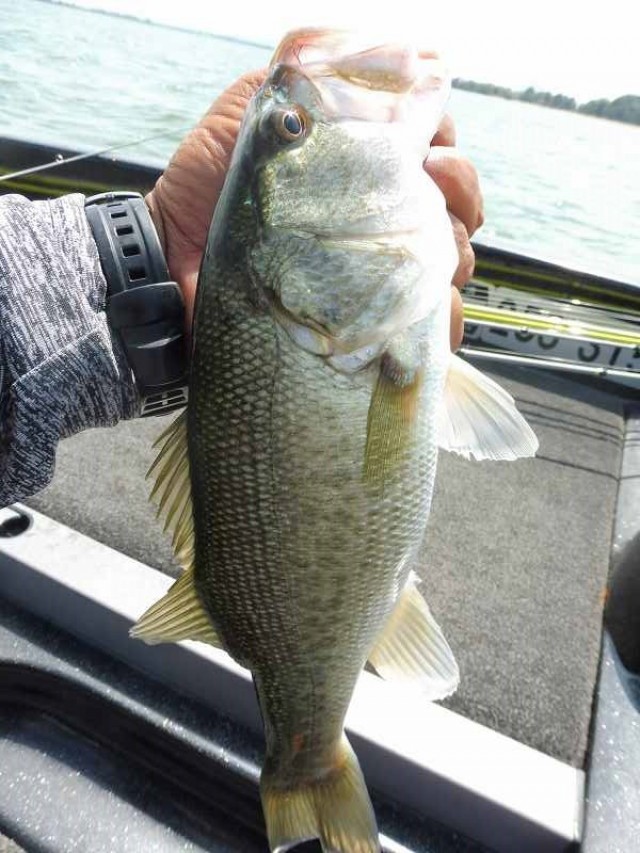 truth okuma ブログ写真 2016/08/24