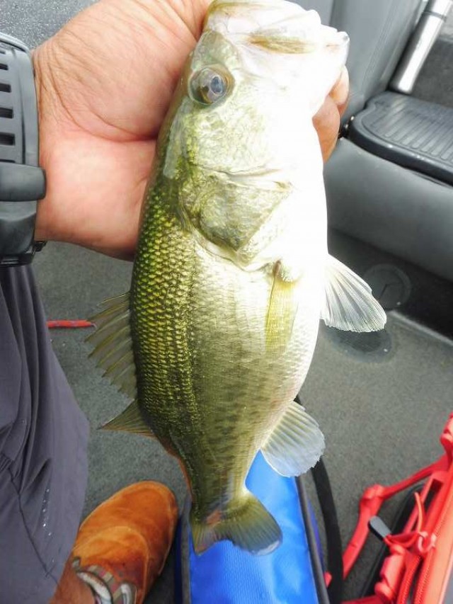 truth okuma ブログ写真 2016/08/24