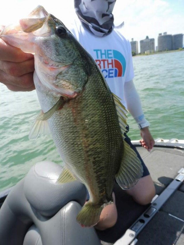 truth okuma ブログ写真 2016/08/24