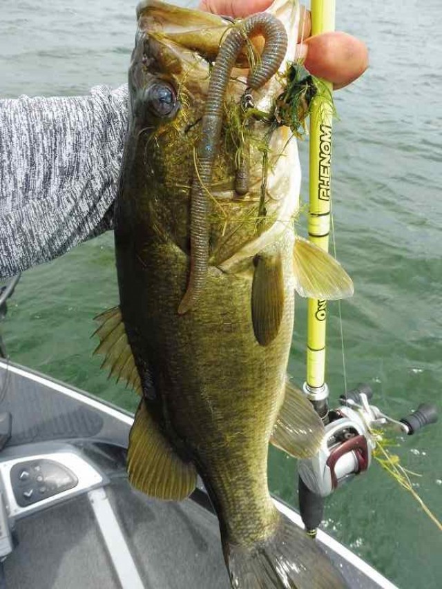 truth okuma ブログ写真 2016/08/24