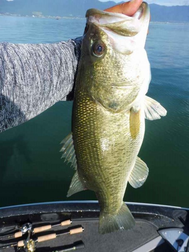 truth okuma ブログ写真 2016/08/26