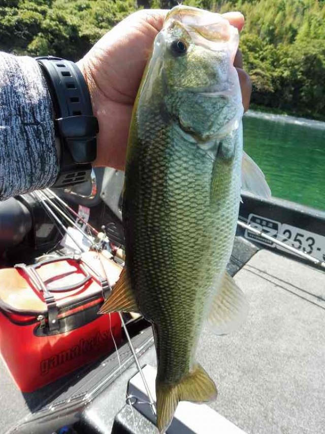 truth okuma ブログ写真 2016/08/26