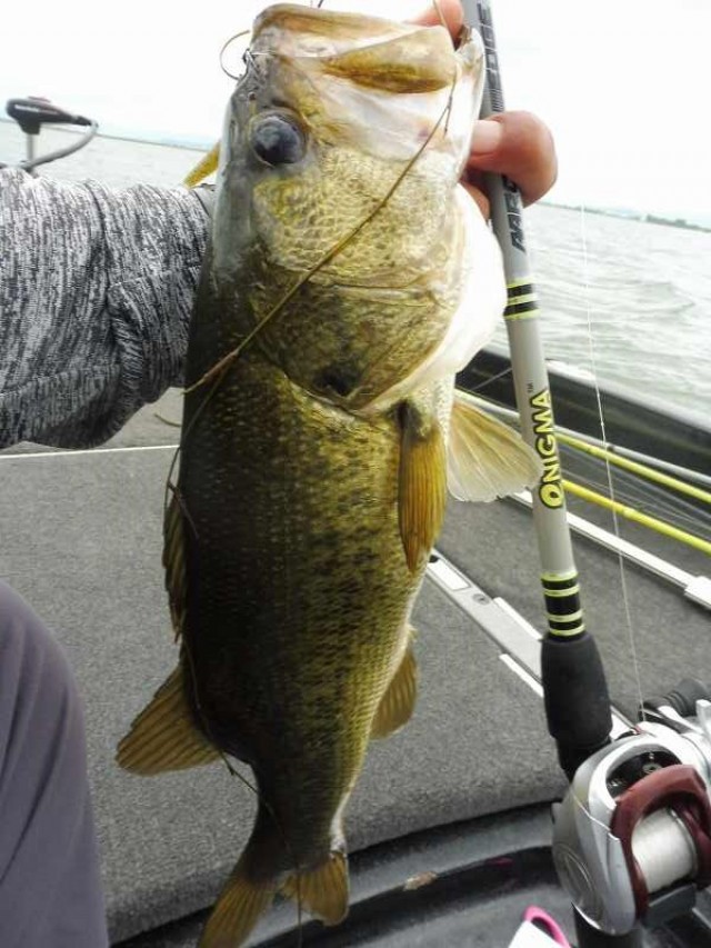 truth okuma ブログ写真 2016/08/26