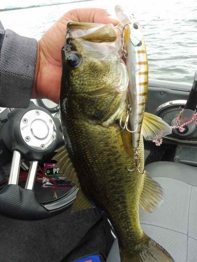 truth okuma ブログ写真 2016/08/27