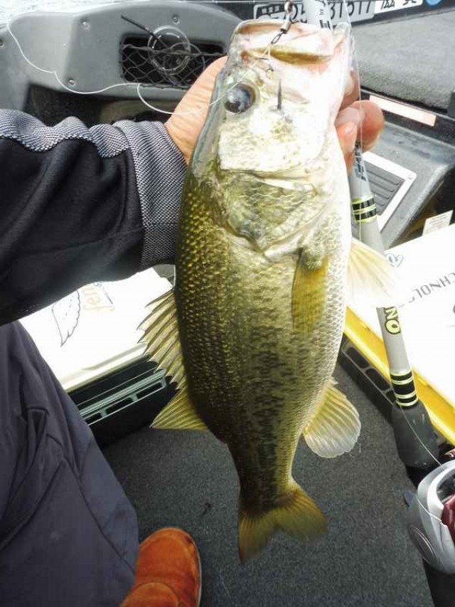 truth okuma ブログ写真 2016/08/27