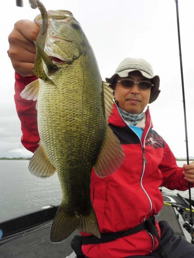 truth okuma ブログ写真 2016/08/27