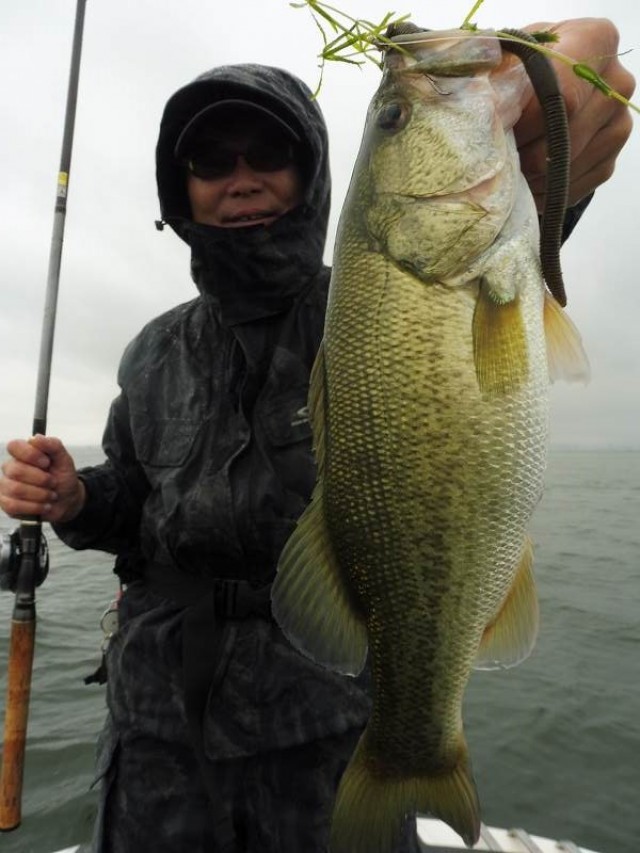 truth okuma ブログ写真 2016/08/28