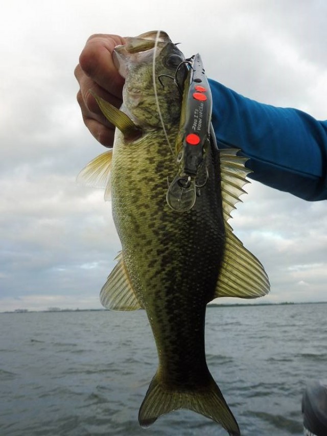 truth okuma ブログ写真 2016/08/28